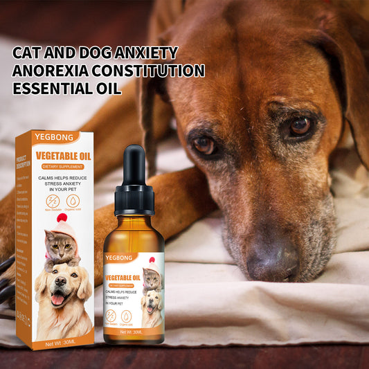 Pet Cat And Dog Diet Care To Enhance Physical Fitness And Nutritional Supplements